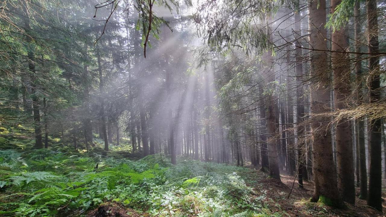 Ferienwohnungen Rabensteiner バド クラインキルヒハイム エクステリア 写真